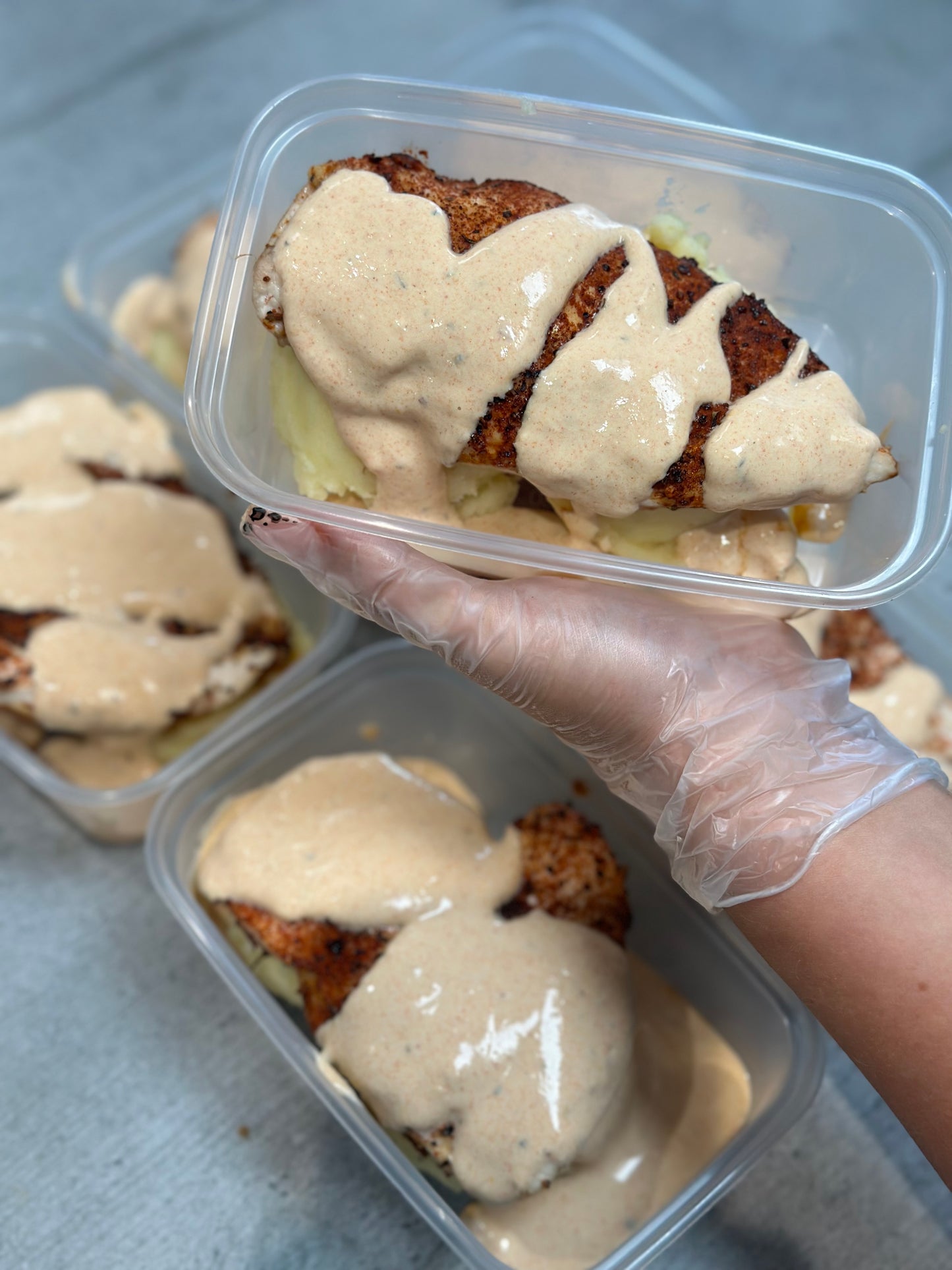 Creamy Chicken + Mash Potato